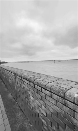 Les Hack (@leshack70)’s videos with Near Light - Ólafur Arnalds