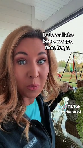 Natural Pest Control: Deters Bees, Wasps & Flies