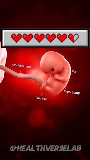 8 Weeks Pregnant 🤰 See How Your Baby Looks Inside the Womb! #pregnancycare #pregnancyjourney