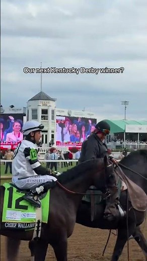 Harley is ponying chief Wallabee ridden by Junior Alvarado! Is he our next Derby winner?? 🏆