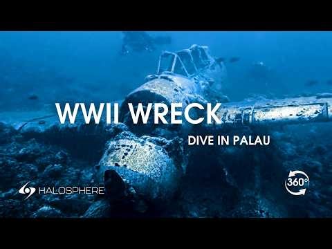 Palau in 16K 360° VR | Sharks, Blue Holes & WWII Wrecks (Apple Vision Pro Trailer)