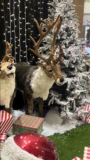 Singing Christmas Reindeer🦌🎄🎅