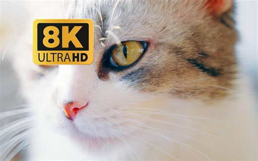 4K HDR 60fps 超高清 演示视频