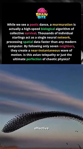 Why Predators Fear This Avian Wave #shorts