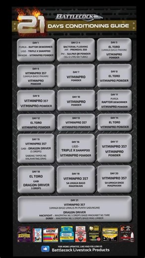 21-Day Conditioning Guide for Battlecock Products