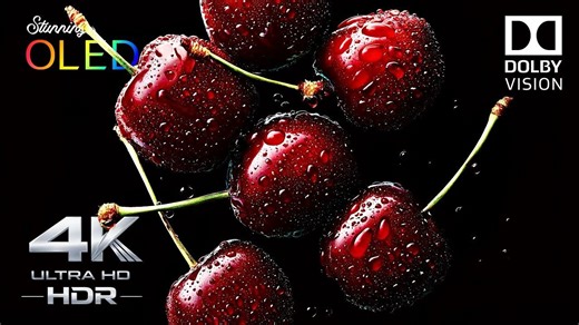 【4KHDR 真彩®】 震撼的 OLED 展示｜4K HDR 60 帧超高清 · 杜比视界（适用于 8K/4K 电视）