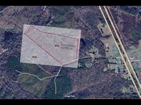 19.15 Acres for Sale in Champlain, VA