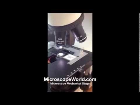 Microscope Mechanical Stage