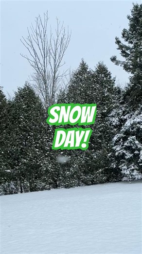 Snow Day with Imaginary Kermit 🐸 #SnowDay #Shorts