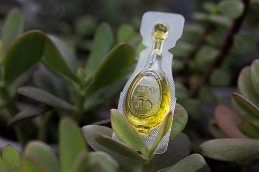 Zetay EVOO Single-Serve Packets 12 x 0.34 oz, Travel Packs, Early Harvest - Cold Pressed Olive oil