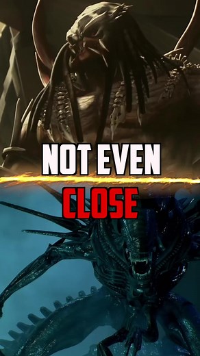 Predator King vs Xenomorph Queen: Epic Battle Analysis