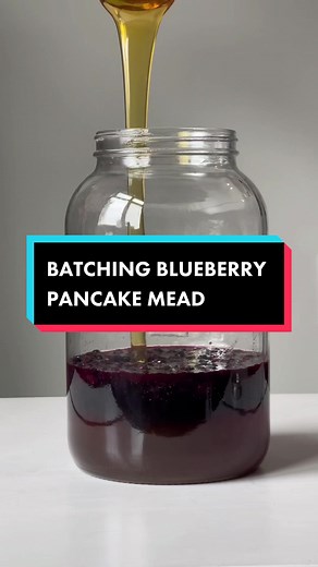 Blueberry pancake mead has been batched 🫐🥞 #mead #meadtok #homebrew #honeywine #homemadewine #meadmaking