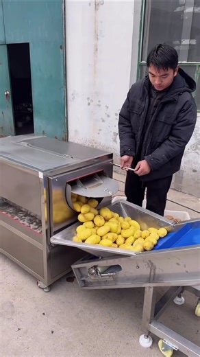 Potato Peeling Machine Potato Chips Making Machine Potato Powder Making Machine 😱 Potato Peeling ...