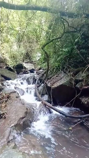 E o lageado começou a correr depois da chuva 🌧️