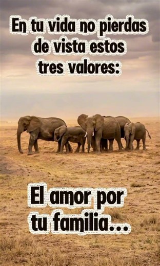 Tres valores que nunca debes perder en la vida. #shortsyoutube #reflexionesdeldia