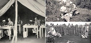 Robert Koch: Die skrupellosen Experimente eines Pioniers