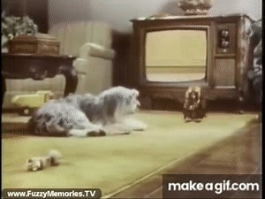 Chuck Wagon - "Chase The Chuckwagon" (Commercial, 1976) on Make a GIF