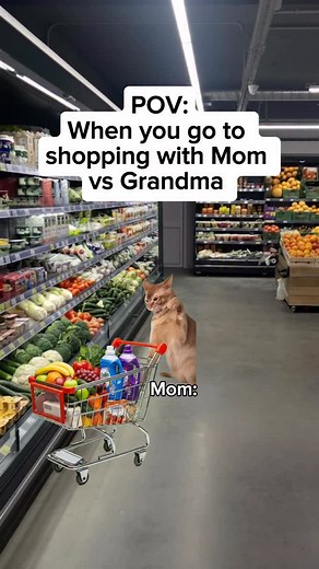 77K reactions · 343 comments | When you go to shopping with Mom vs Grandma Follow @catmemesshorts for more reels #catmemes #cats #relatable #catstagram #foryoupage #explore #funnymemes #instagrammemes #funnycats #memes | Cat Memes | Facebook