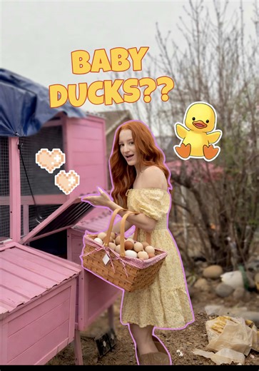 Baby Duck Update: Adorable Moments with Emmy