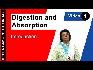 Digestion and Absorption | NEET | Introduction | Neela Bakore Tutorials