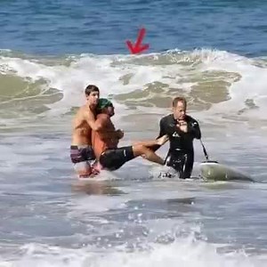 LEGEND LOST Iconic actor has died today after being mauled to death in a shark attack. The video is hard to watch: Check the first comment ⤵️⤵️ | Emily Kate Wynn