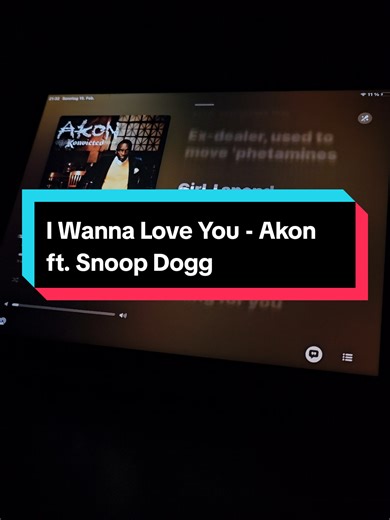 I Wanna Love You Lyrics by Akon ft. Snoop Dogg