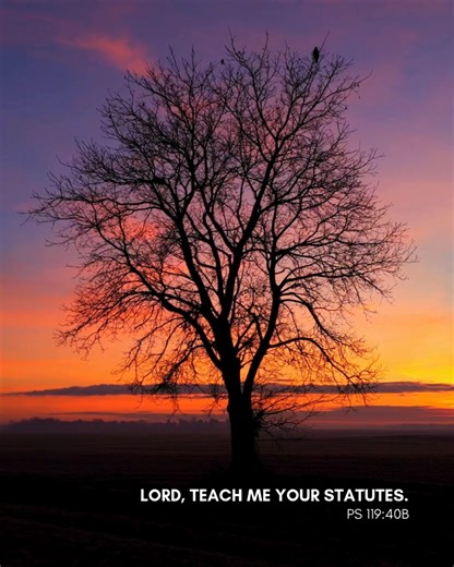 Verse of the day. | Sacred Heart Basilica