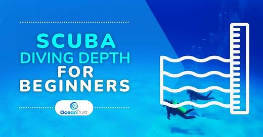 Scuba Diving Depth for Beginners ( Why There Are Limits)