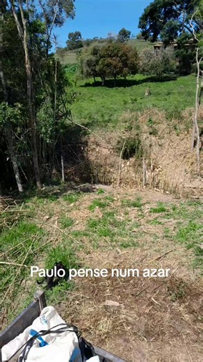 Letisgo Presa na Moita: O Vídeo Engraçado com Paulo