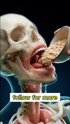 Eats oat everyday #facts #scienceexplain #fyp #foryou #unfreezemyaccount