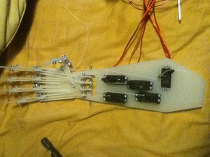 Robotic Hand (2012-2013)