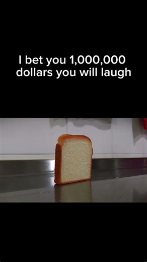 Don’t lie! You laughed! 😂😂 #bread