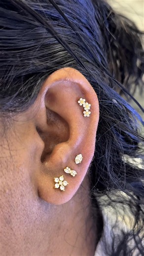 Body Piercing Services West Central Mall - Alisa's Body Piercing