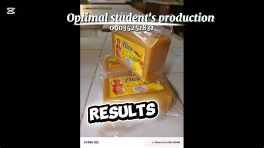 Student Production Showcase from Online Training