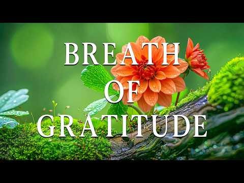 BREATH OF GRATITUDE | Morning Prayer Music With Scriptures & Beautiful Nature Scenes
