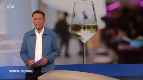 Start des Harburger Kulturfestivals "Sommer im Park"