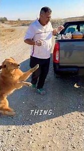 He Was Starving! Emotional Stray Dog Rescue & Urgent Vet Treatment in the Desert 💔