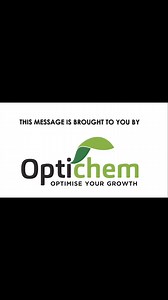 6.9K views · 99 reactions | Potato production in Zimbabwe | Agribusiness with Wadzanai Manyore | Facebook