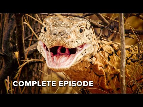 Survival of the Toughest | Deadly Australians 103+104