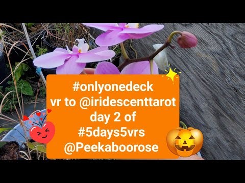 #onlyonedeck vr to @iridescenttarot day 2 of #5days5vrs @Peekaboorose