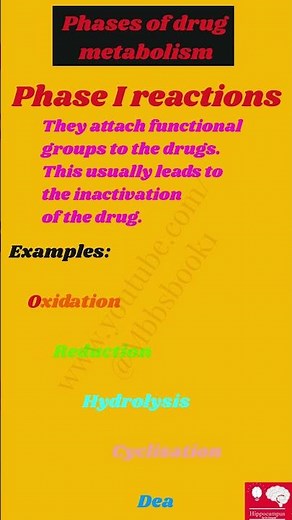 Phase 1 vs Phase 2: Drug Metabolism Explained #biology #shorts