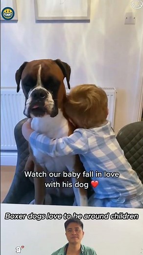 Boxer dogs love to be around children #dog #baby #cutedogs