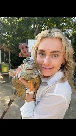 I’m screaming in iguana