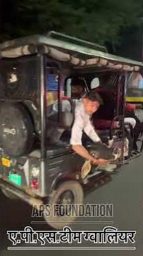 He was driving at high speed and hit a cow. One of its stomachs was broken and three ribs were br...