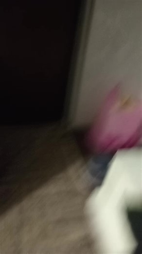 Рафа топ (@egor_swiftkey)’s videos with оригинальный звук - agony