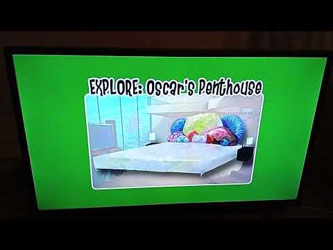 Shark Tale Tour The Reef