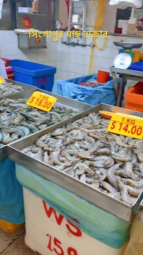 Explore Singapore's Vibrant Fish Market Scenes