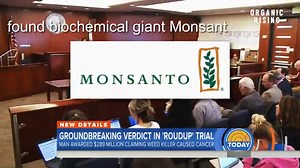 ORGANIC RISING - Demystifying Organic Agriculture See the award-winning dcumentary: www.OrganicRisingFilm.com Renowned scientists present their research on the most widely used pesticides in US agriculture and the effects these chemicals have on human health and the environment. Follow Organic Rising on YouTube for our free content: https://www.youtube.com/@OrganicRising #FoodAndWaterWatch #cornucopiainstitute #OrganicConsumerAssociation #Leica #OrganicRising #CenterforFoodSafety #foodtank #EWG 