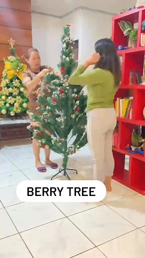 #christmasisaroundthecorner | Rachie T. Modesto