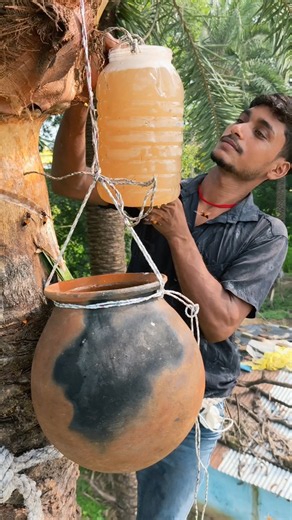 पारंपरिक तरीके से खजूर का पेड़ से रस कैसे निकाले #खजूर #रस #shorts #virals #youtube #trending